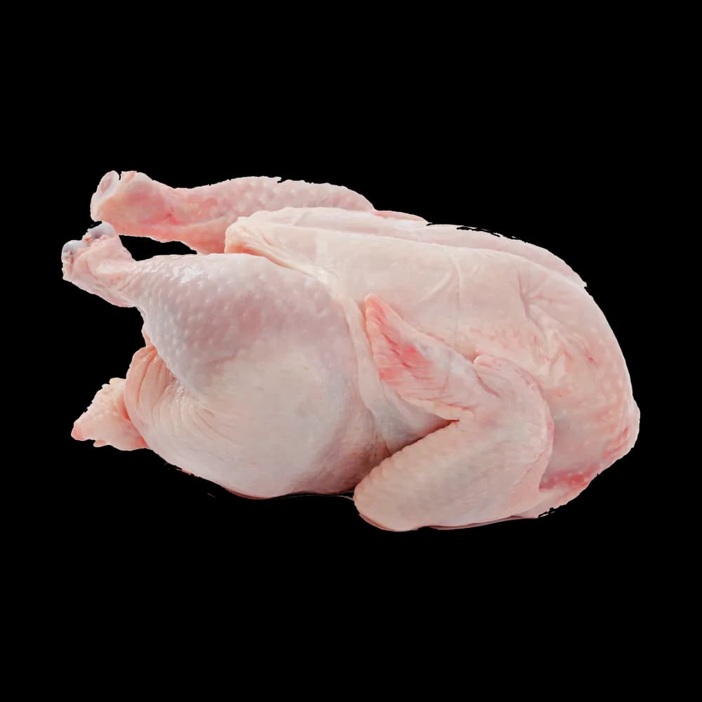 Chicken Meat preview