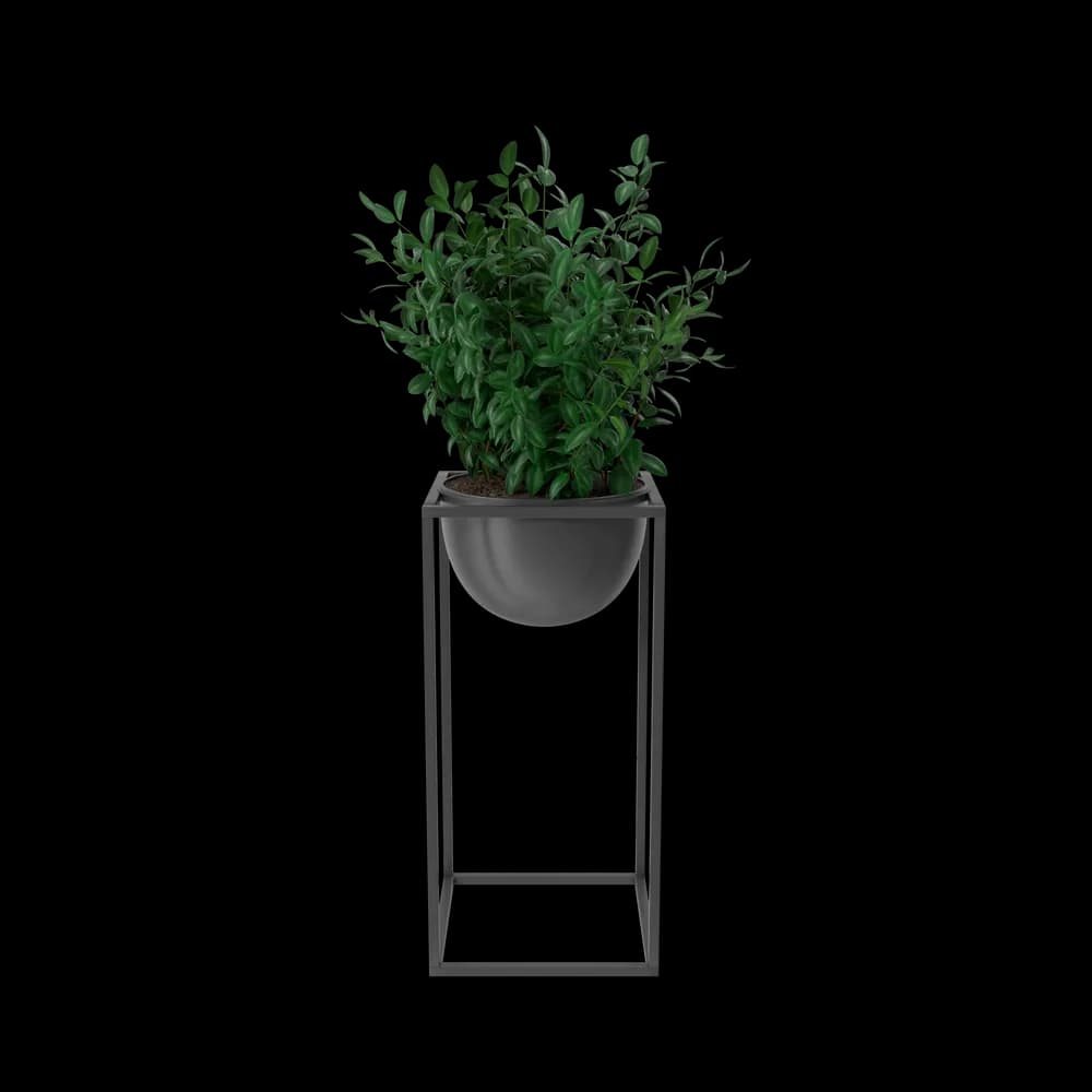 House Showpiece Plant preview