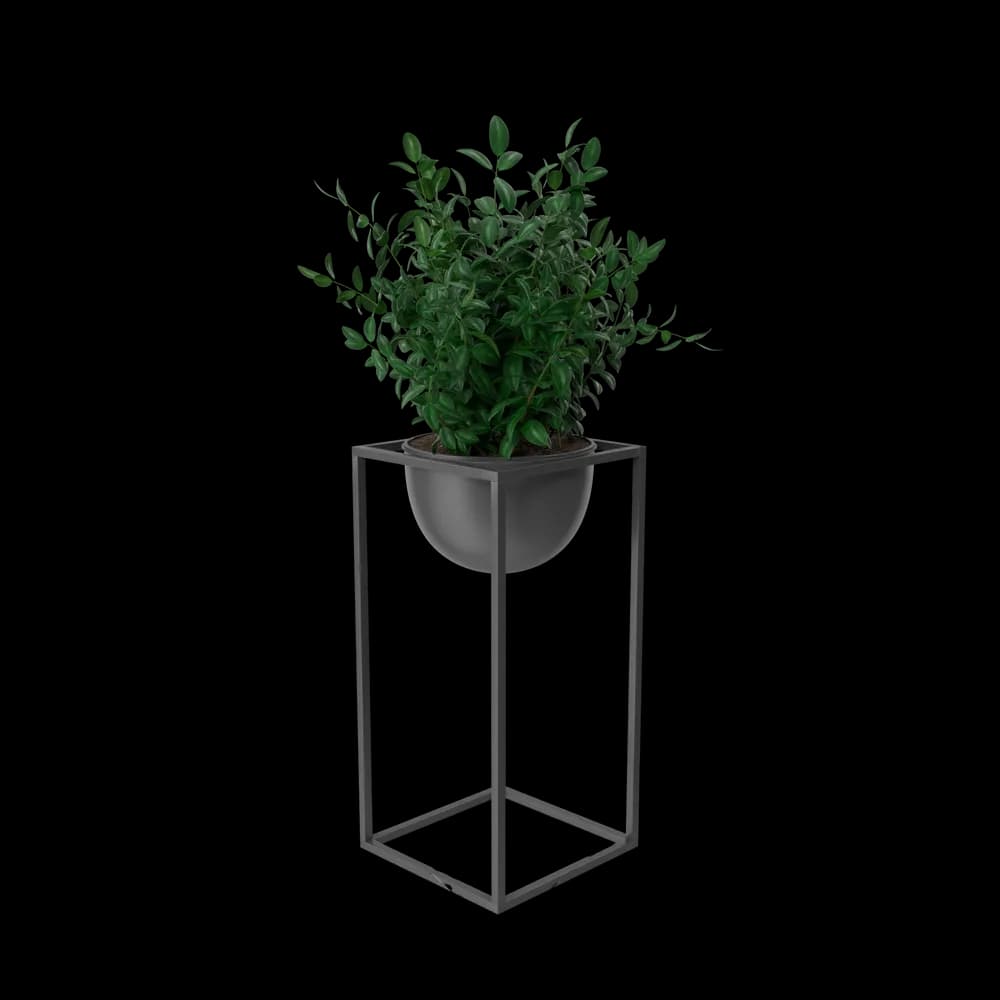 House Showpiece Plant preview