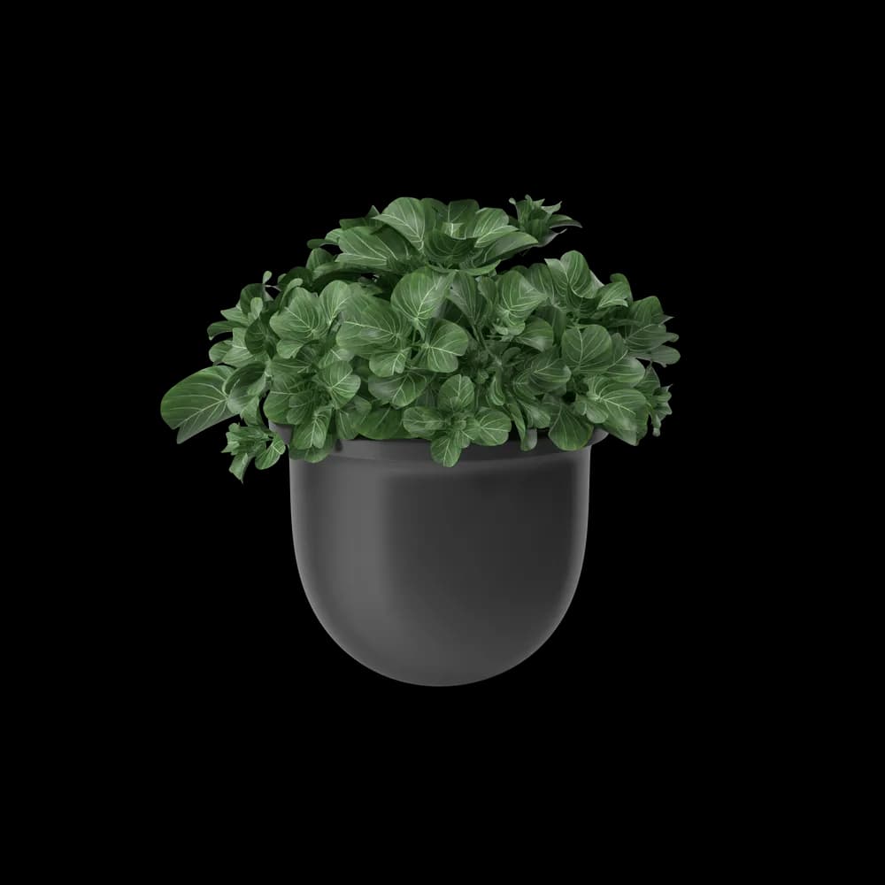 Plant Pot preview