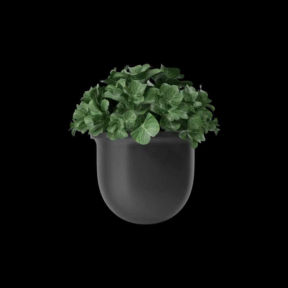 Plant Pot preview