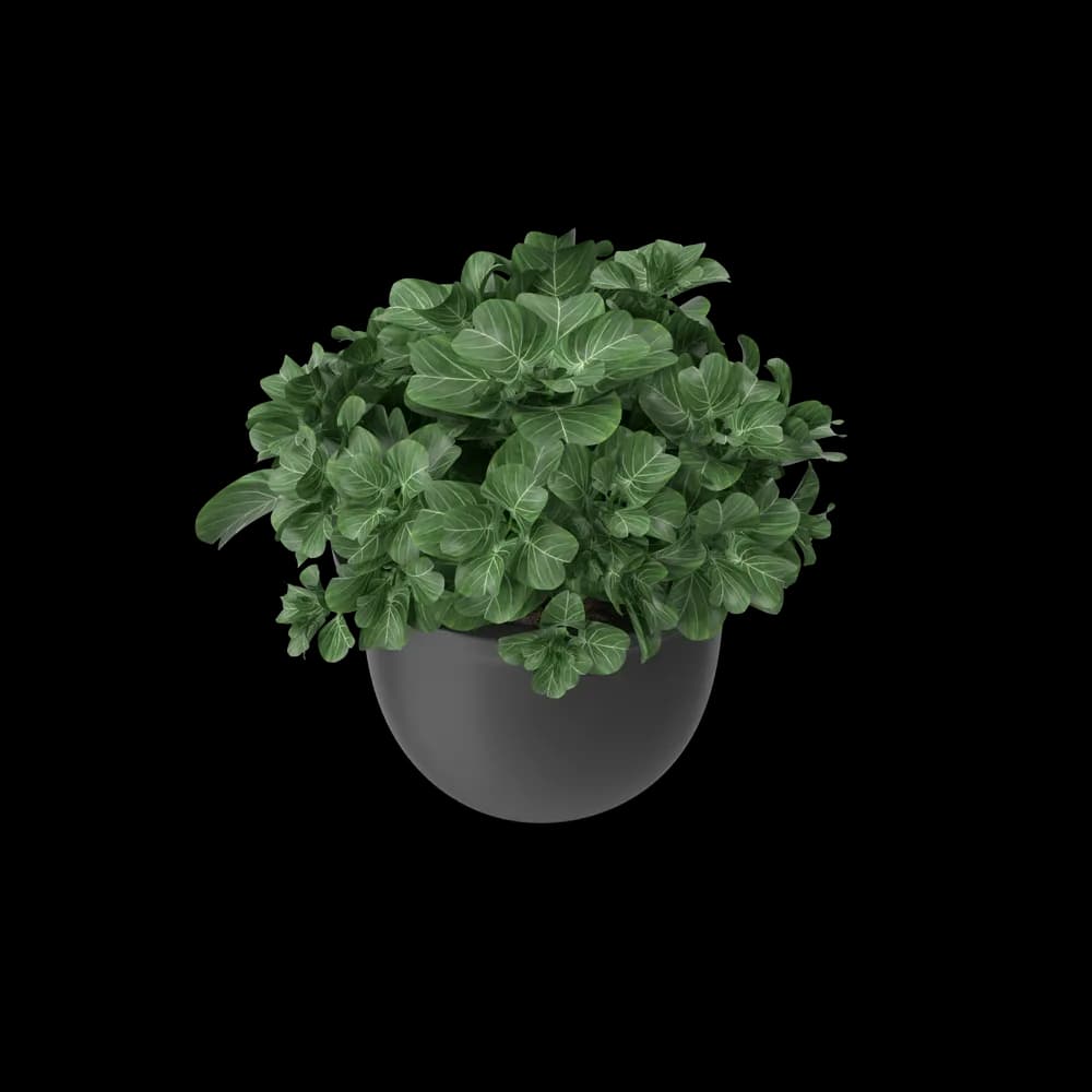 Plant Pot preview