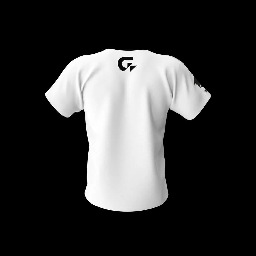 Gigabyte Aorus Men Tshirt preview